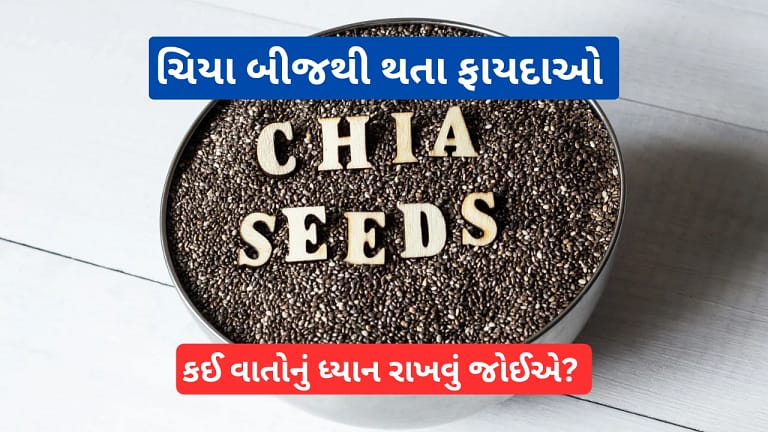 Benefits of chia seeds in gujarati