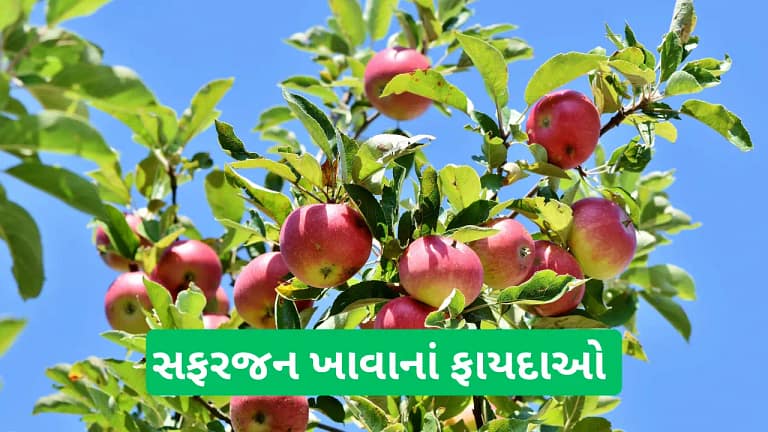 Benefits of eating Apple in gujarati
